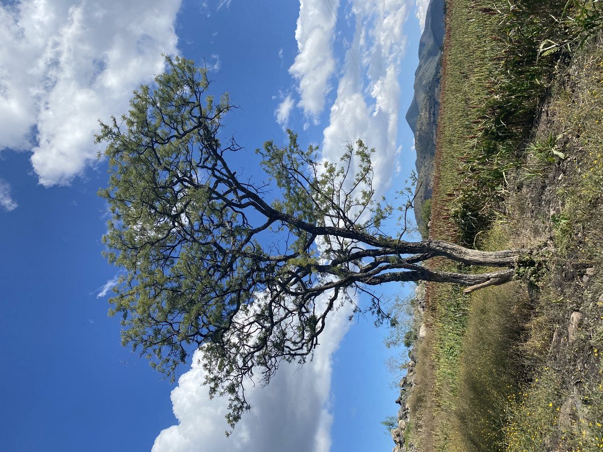 Naturaleza 3