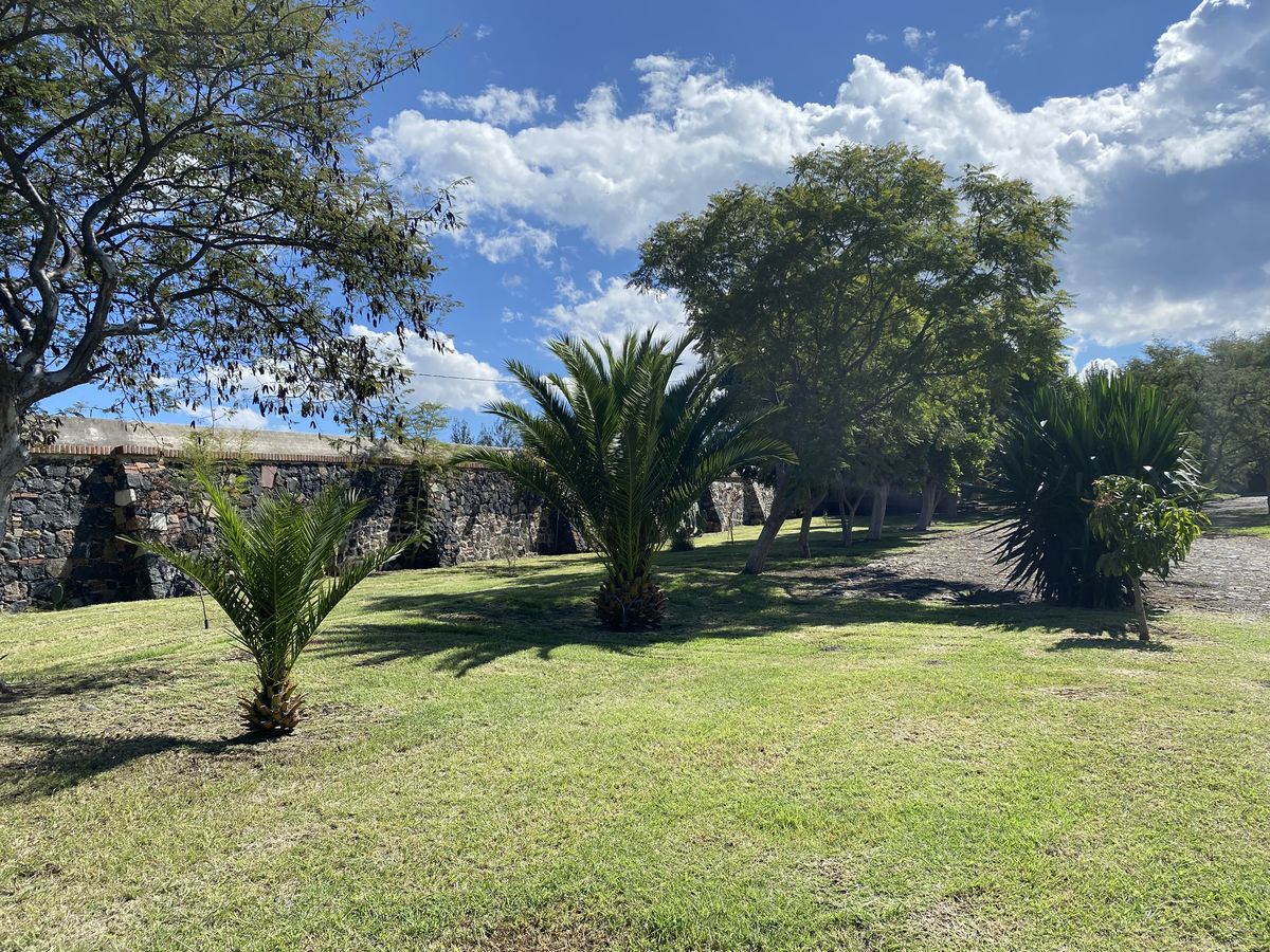 Naturaleza 4