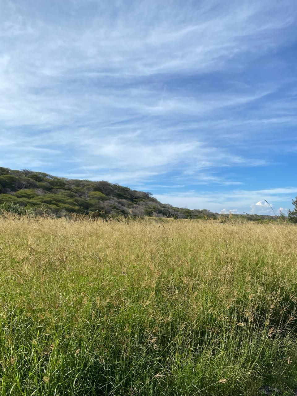 Naturaleza 5
