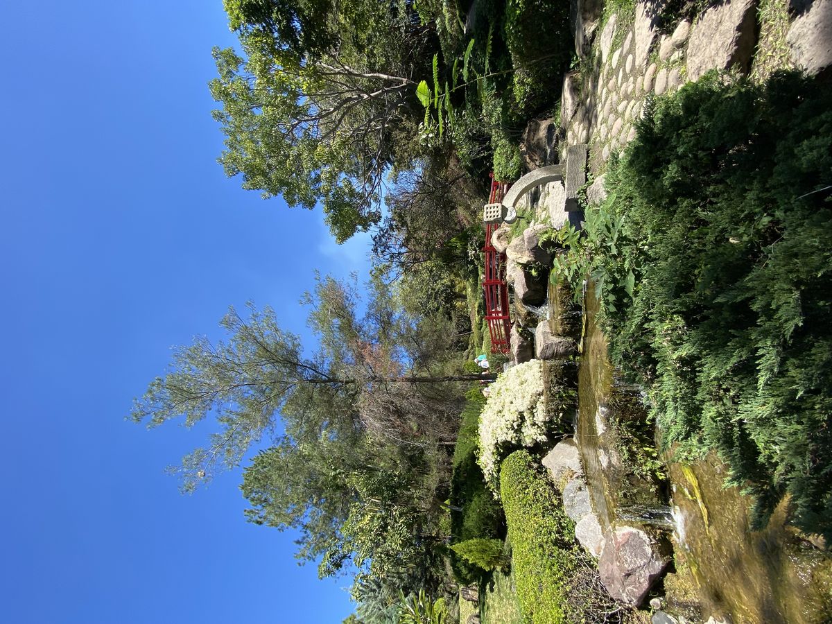 Naturaleza 6