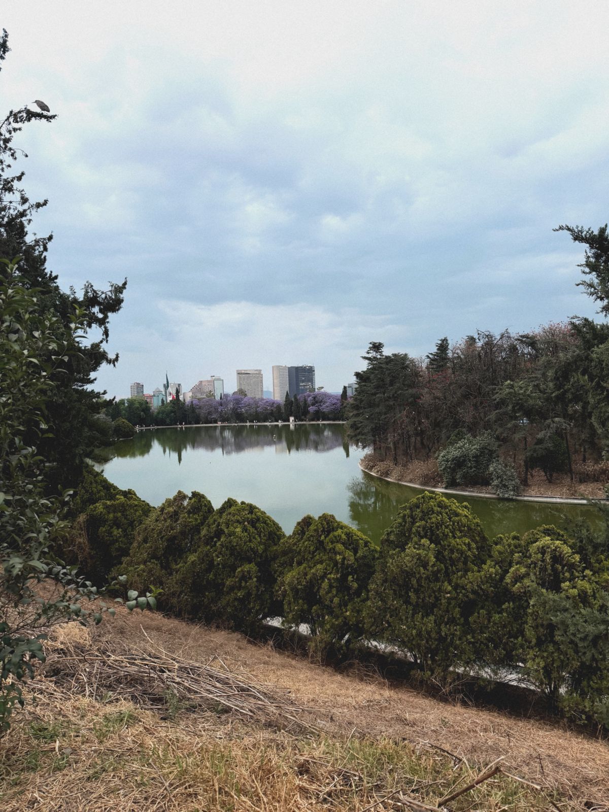 Naturaleza 8